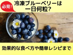 必見 冷凍ブルーベリーは一日何粒 効果的な食べ方や簡単レシピまで 那須塩原 貸別荘を営む森のもかさん