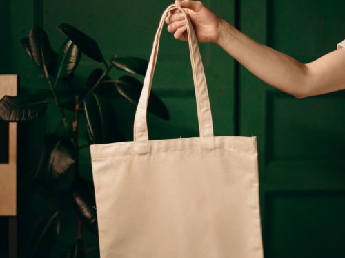 ドミノピザの持ち帰り半額は予約だけでokのお得な方法 那須塩原 貸別荘を営む森のもかさん