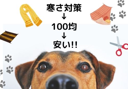 愛犬のために 犬の寒さ対策は100均グッズで手作り 留守番中や夜の対策も 那須塩原 貸別荘を営む森のもかさん