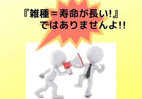 犬の寿命は最長何歳 ギネス記録では29歳 長寿の秘訣はここにあり 那須塩原 貸別荘を営む森のもかさん