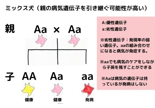 犬の寿命は最長何歳 ギネス記録では29歳 長寿の秘訣はここにあり 那須塩原 貸別荘を営む森のもかさん