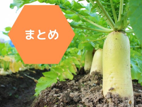 必見 大根の冷凍はまずい 私が成功したおいしく便利な冷凍保存方法 那須塩原 貸別荘を営む森のもかさん