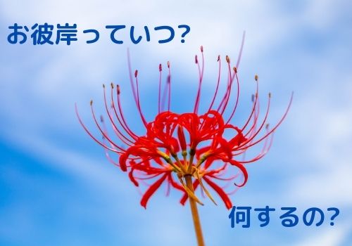 もう悩まない お墓参りの時期で3月のお彼岸はこの頃 お供えはこれ 那須塩原 貸別荘を営む森のもかさん