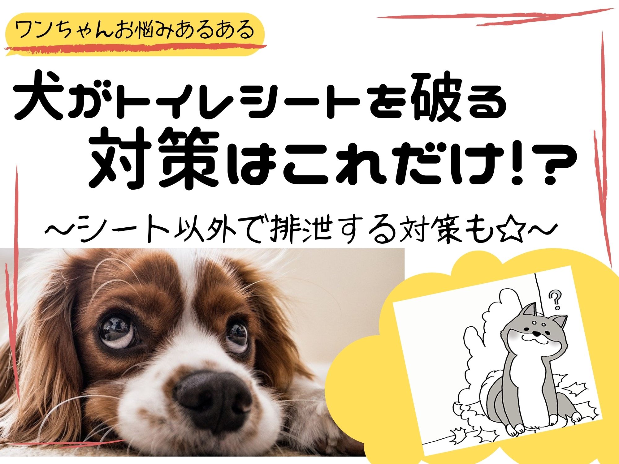 タービン 救い ラップ 子犬 ペット シーツ 食べる Sasaki Hone Jp
