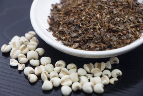 はと麦茶の苦い味を美味しくしたい 水出し 煮出しどっち 効能も紹介 那須塩原 貸別荘を営む森のもかさん