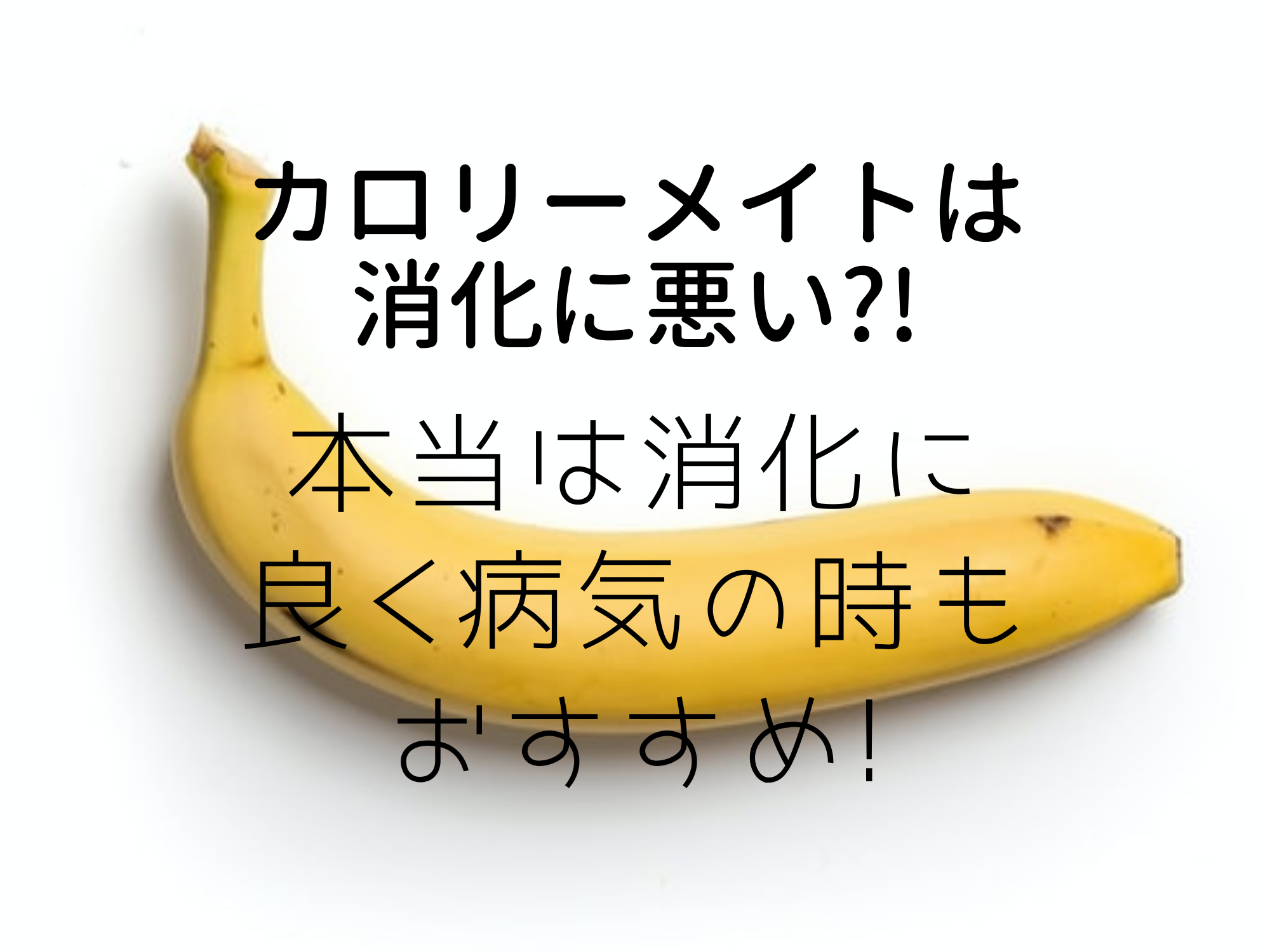 カロリーメイトは消化に悪い 本当は消化に良く病気の時もおすすめ 那須塩原 貸別荘を営む森のもかさん