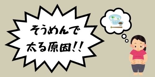 そうめんは太る ダイエットに最適なそうめんの正しい食べ方を紹介 那須塩原 貸別荘を営む森のもかさん