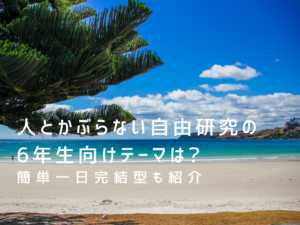 人とかぶらない自由研究の6年生向けテーマは 簡単一日完結型も紹介 那須塩原 貸別荘を営む森のもかさん