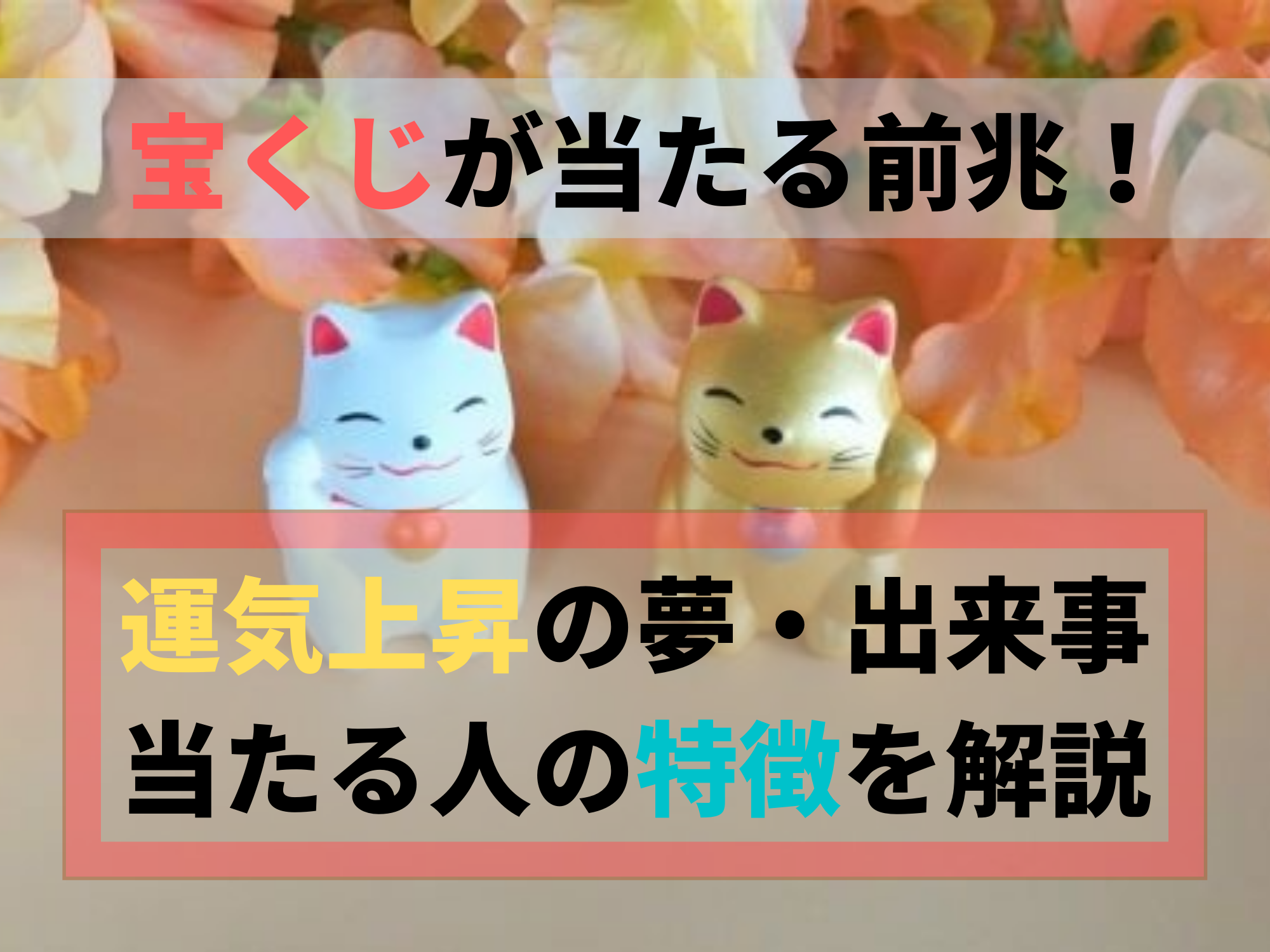 宝くじが当たる前兆は 運気上昇の夢や出来事 当たる人の特徴を解説 那須塩原 貸別荘を営む森のもかさん