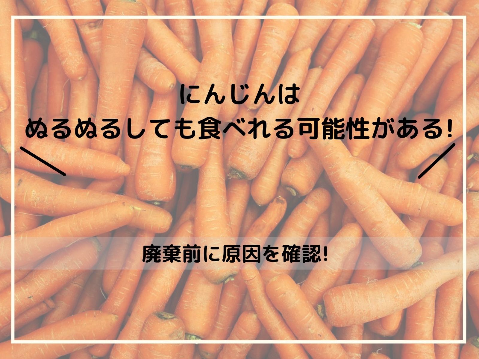 にんじんはぬるぬるしても食べれる可能性がある 廃棄前に原因を確認 那須塩原 貸別荘を営む森のもかさん