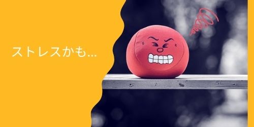 中学生向け 学校を休みたいのが1日だけの時に使える納得の理由をお教えします 那須塩原 貸別荘を営む森のもかさん