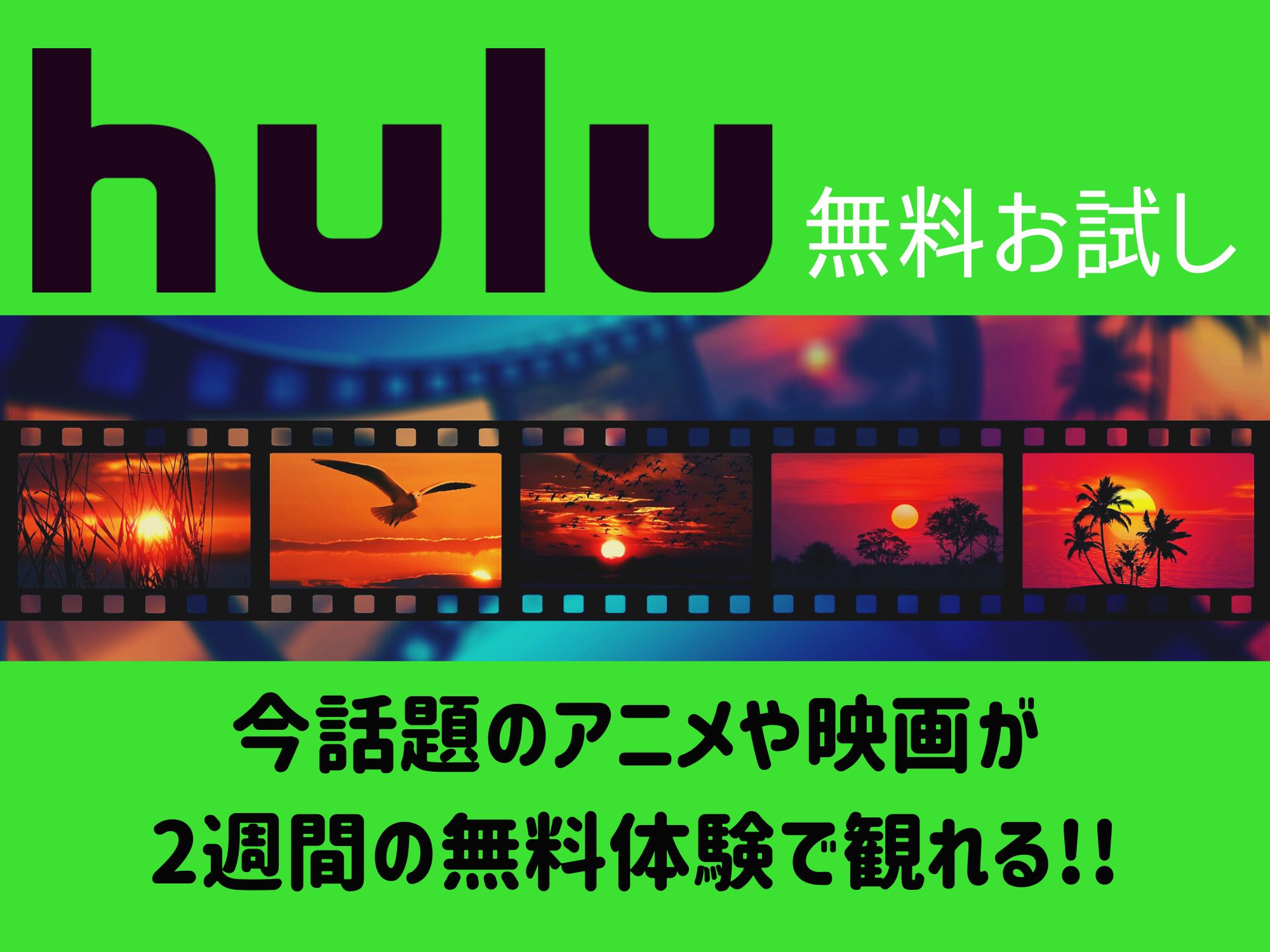 Huluを無料お試し 今話題のアニメや映画が2週間の無料体験で観れる 那須塩原 貸別荘を営む森のもかさん