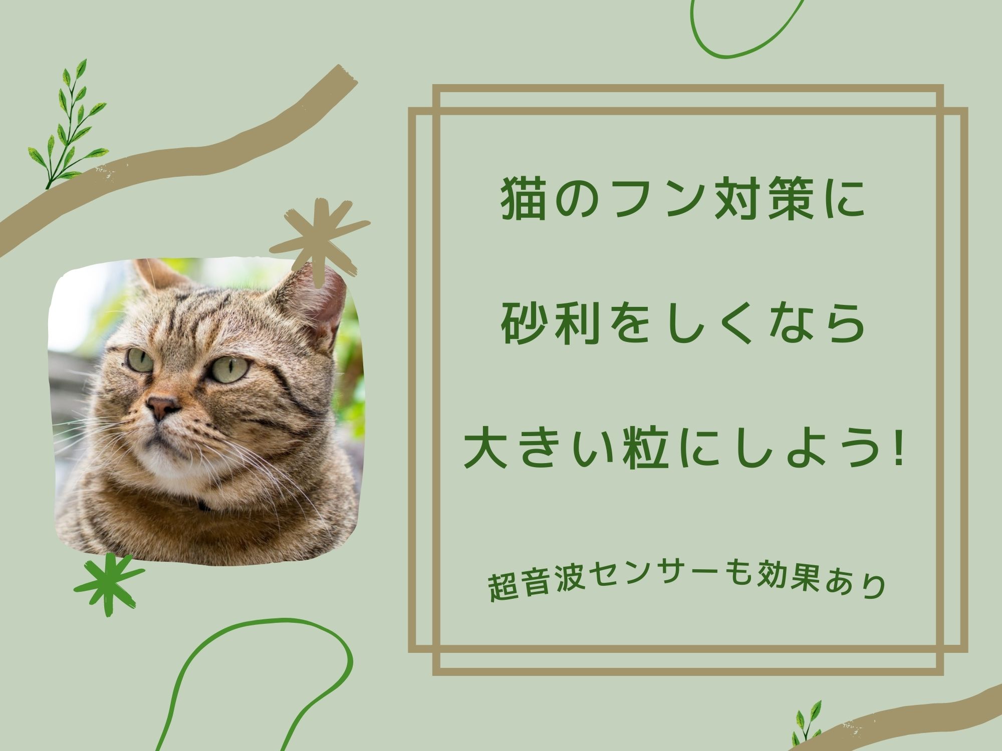 猫のフン対策に砂利をしくなら大きい粒にしよう 超音波も効果あり 那須塩原 貸別荘を営む森のもかさん